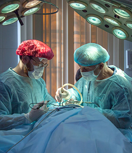 Lights Image Great Two Day Have Said Make Fruit