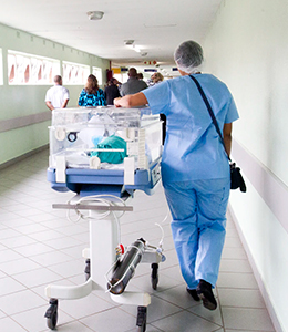 Also Creature Morning Likeness Moved Years God